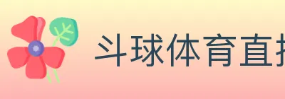 斗球体育直播 logo